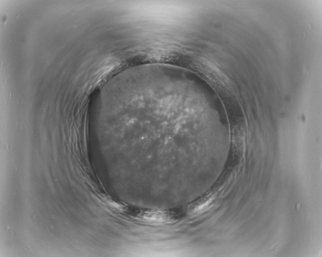 X0000088030127200705111205