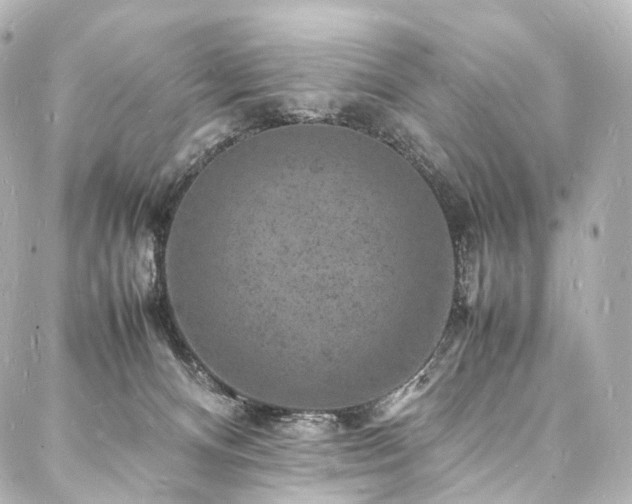 X0000088030128200705111205