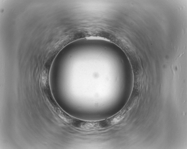 X0000088030129200705111205