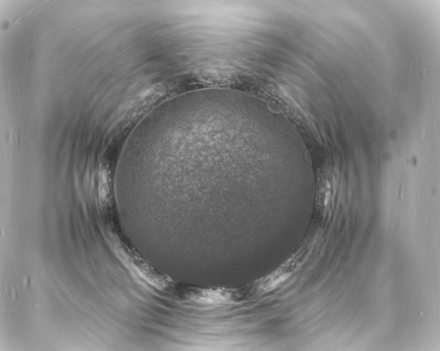 X0000088030130200705111205