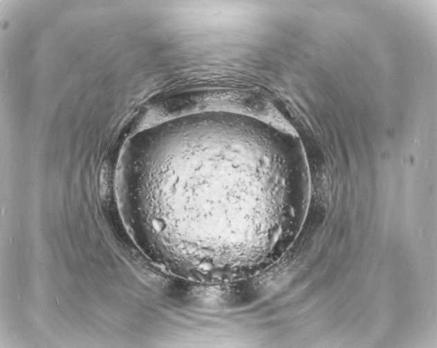 X0000088030131200705111205