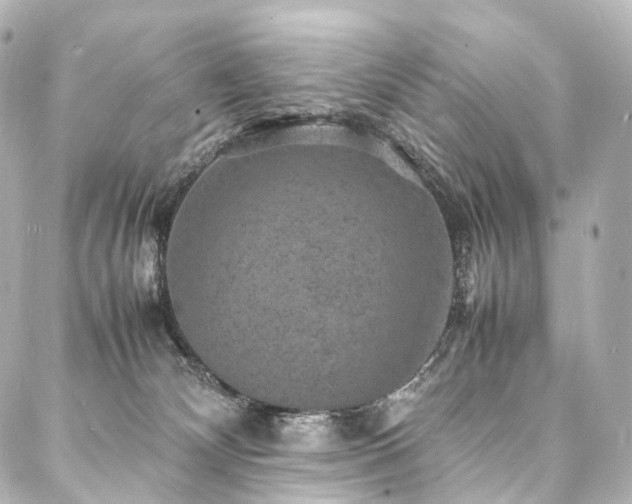 X0000088030132200705111205