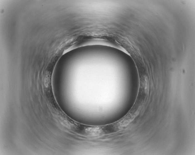 X0000088030133200705111205