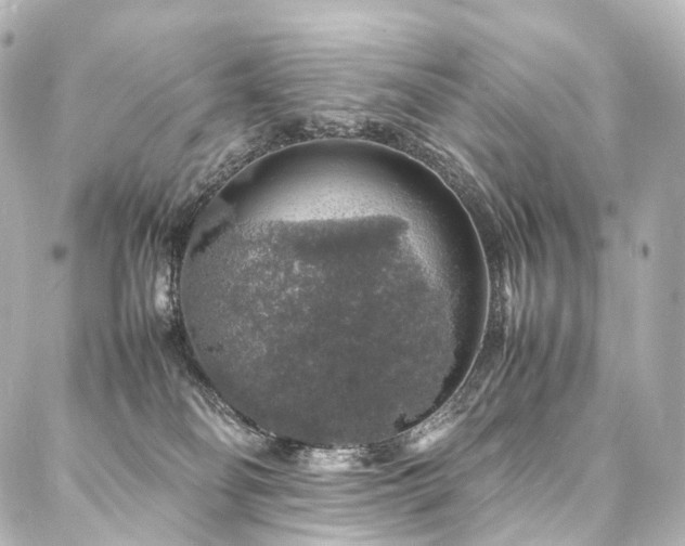 X0000088030134200705111205