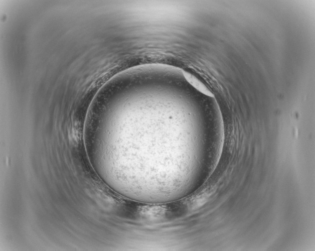 X0000088030135200705111205