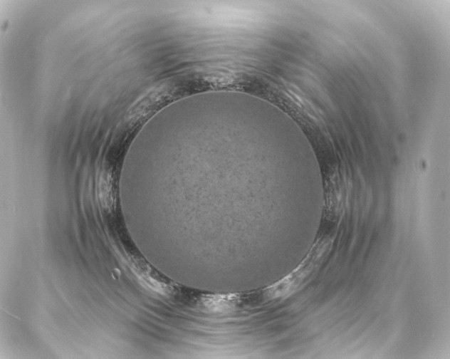 X0000088030136200705111205