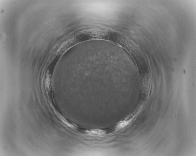 X0000088030137200705111205