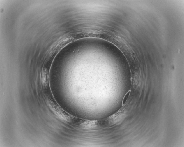 X0000088030138200705111205