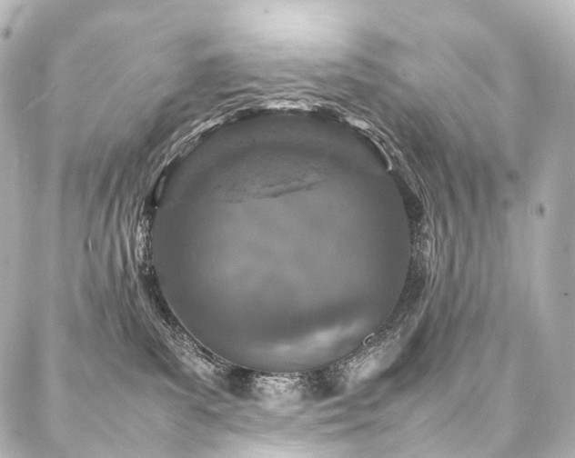 X0000088030139200705111205