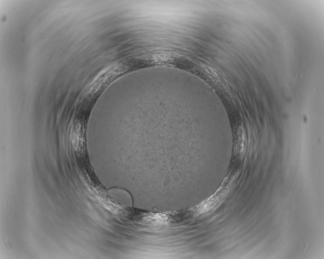 X0000088030140200705111205