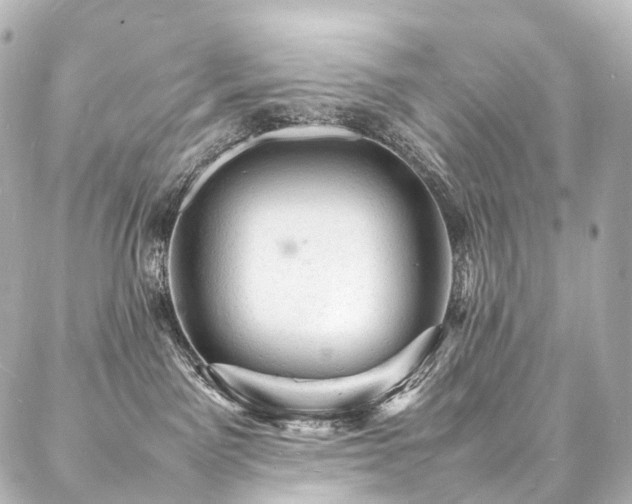 X0000088030141200705111205