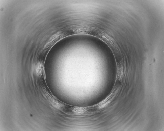 X0000088030142200705111205