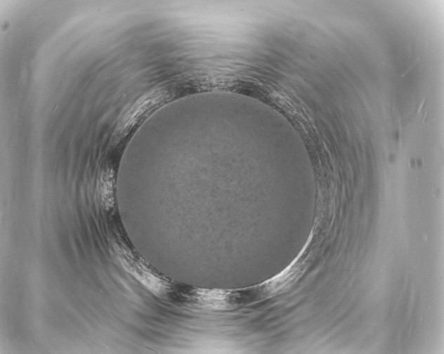 X0000088030144200705111205