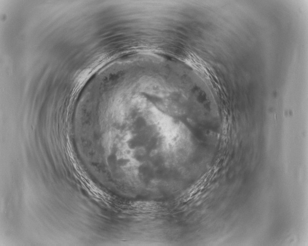 X0000088030145200705111204