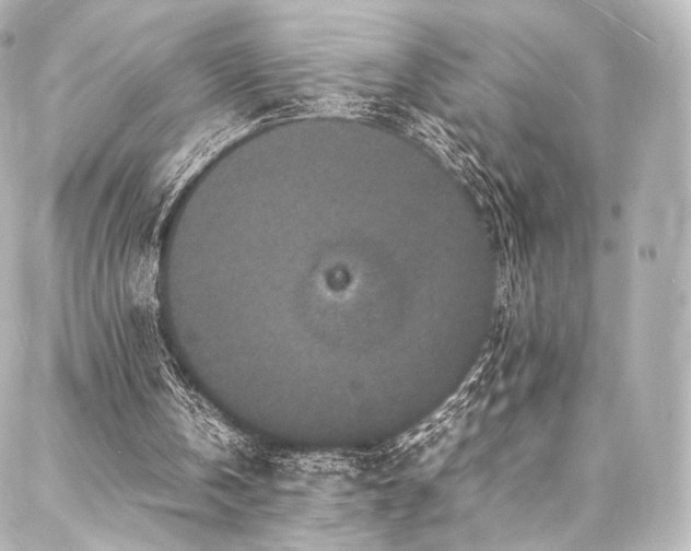 X0000088030146200705111204