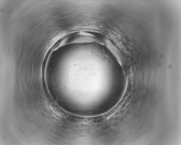 X0000088030148200705111204