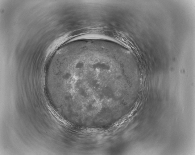 X0000088030149200705111204