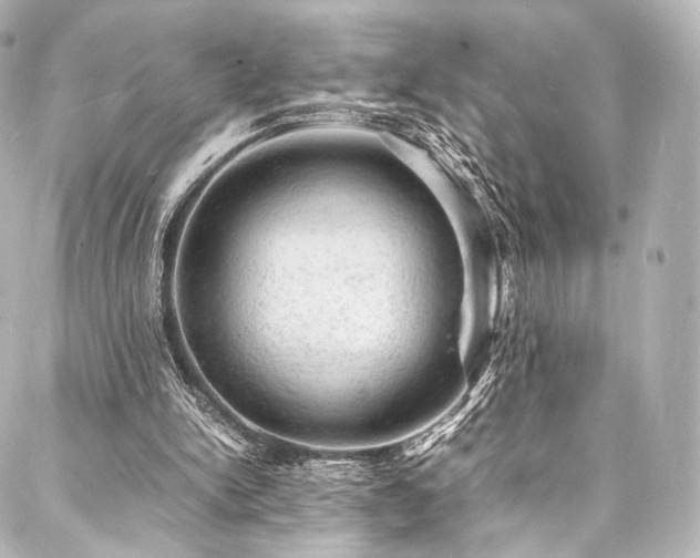 X0000088030150200705111204