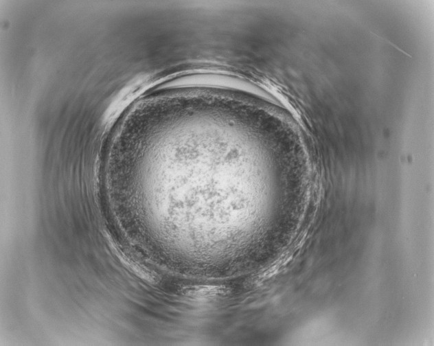 X0000088030151200705111204