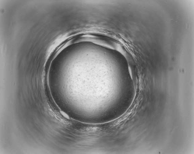 X0000088030152200705111204