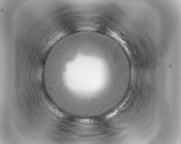 X0000088030153200705111204