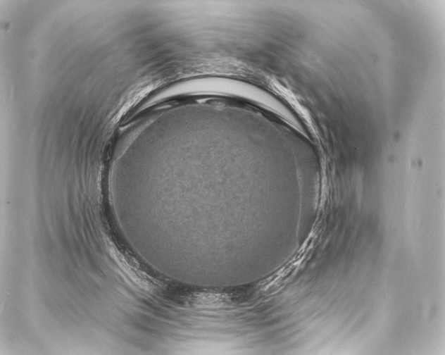 X0000088030154200705111204