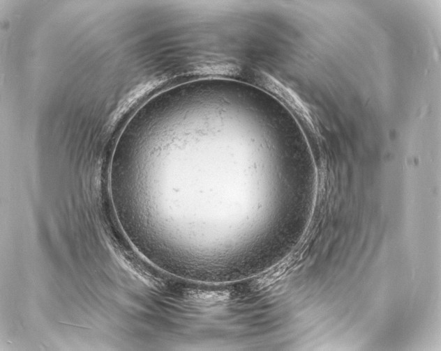 X0000088030155200705111204