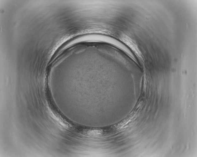 X0000088030156200705111204