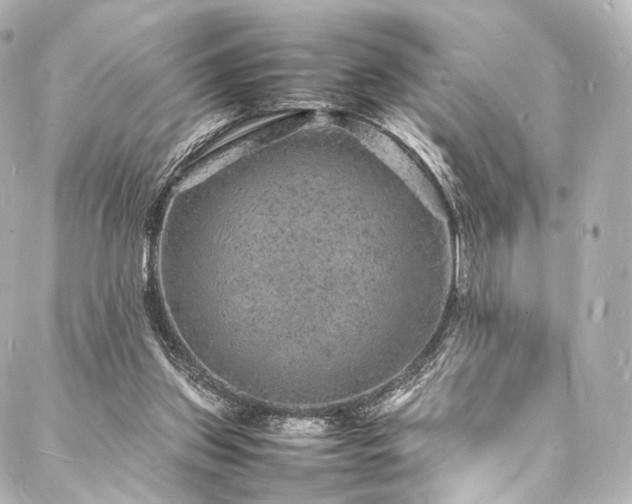 X0000088030157200705111204