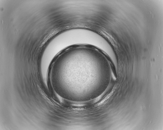 X0000088030158200705111204