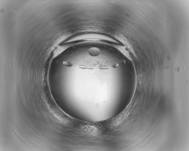 X0000088030159200705111204