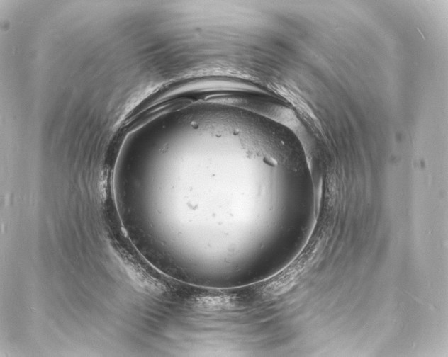 X0000088030160200705111204