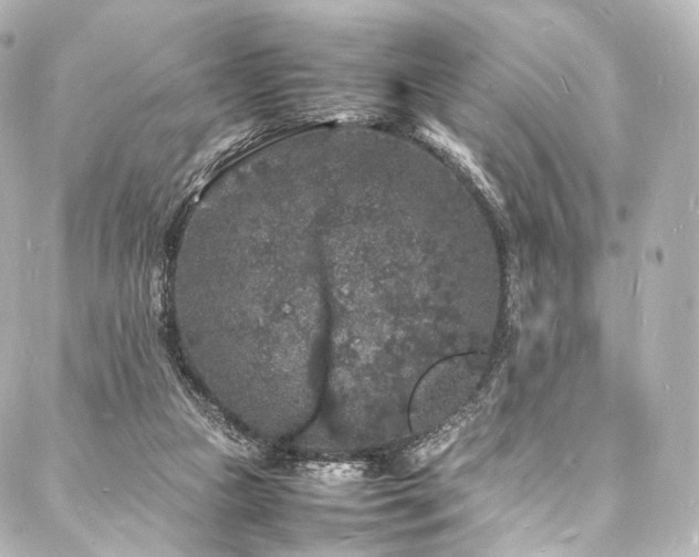 X0000088030161200705111204