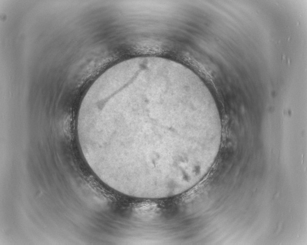 X0000088030162200705111204