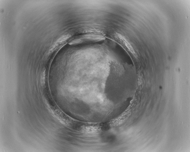 X0000088030163200705111204