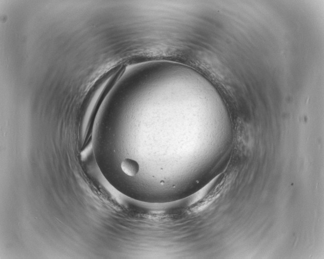 X0000088030164200705111204