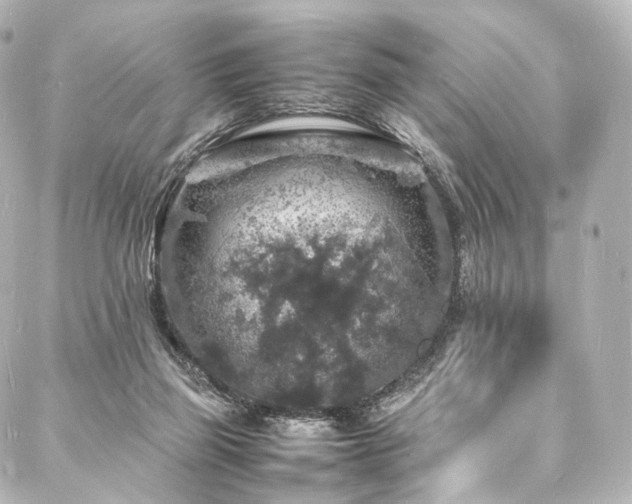 X0000088030165200705111204