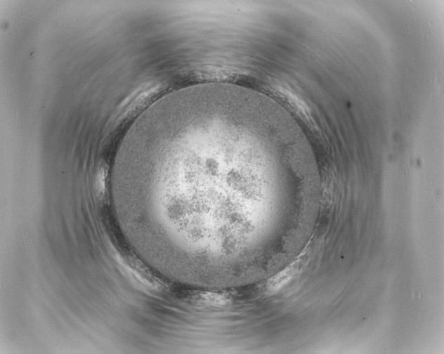 X0000088030166200705111204