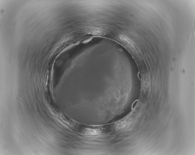 X0000088030167200705111204