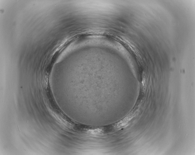 X0000088030168200705111204