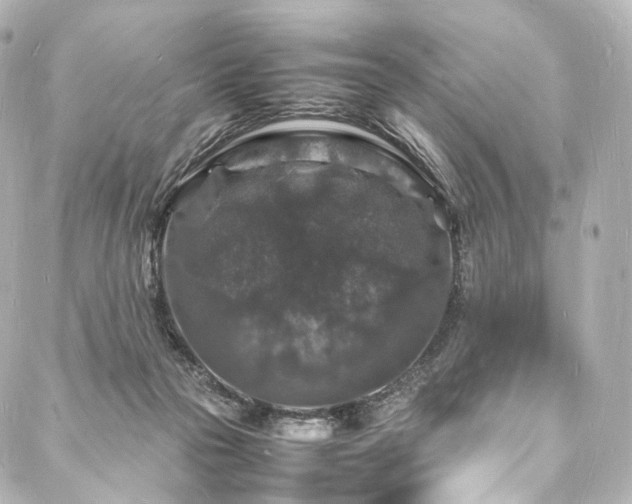 X0000088030169200705111204