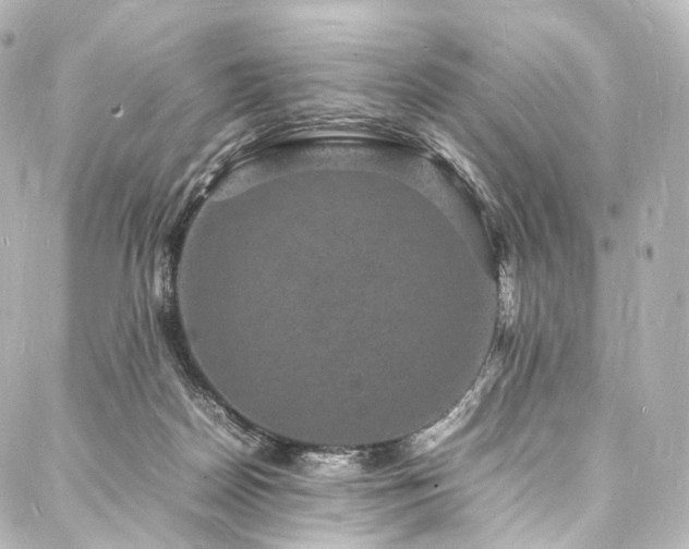 X0000088030170200705111204