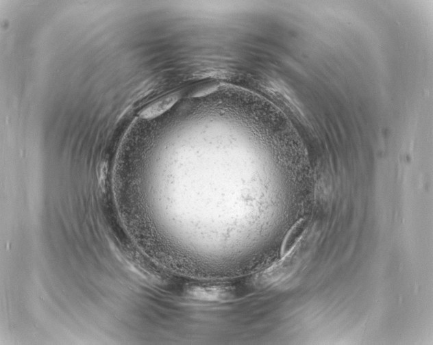 X0000088030171200705111204