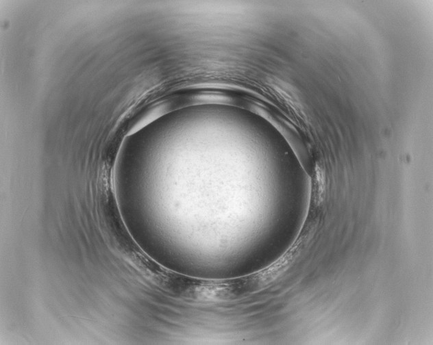 X0000088030172200705111204