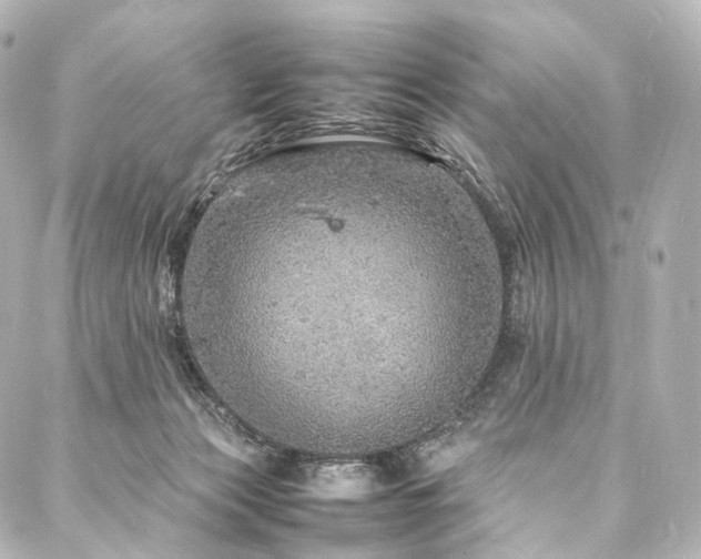 X0000088030173200705111204