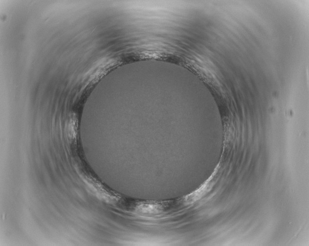 X0000088030174200705111204