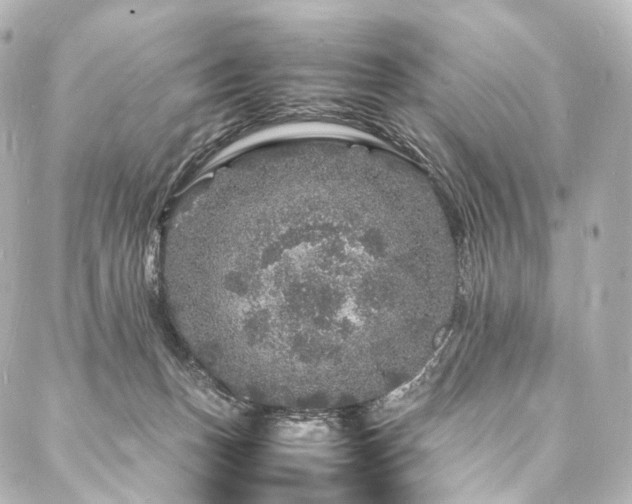 X0000088030175200705111205