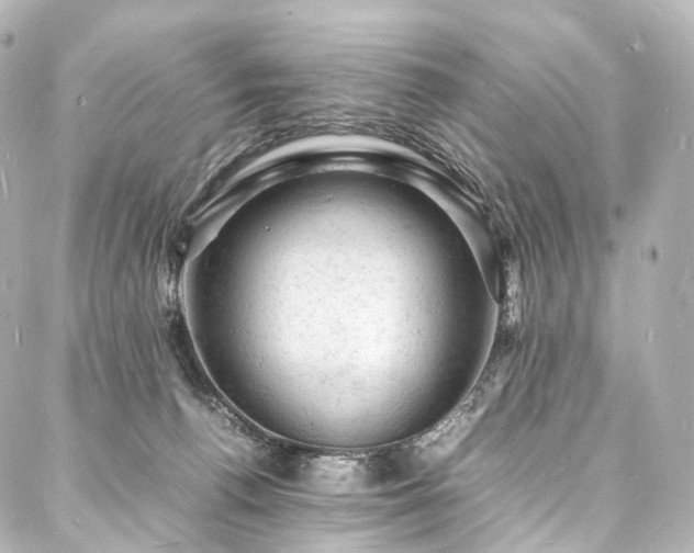 X0000088030176200705111205