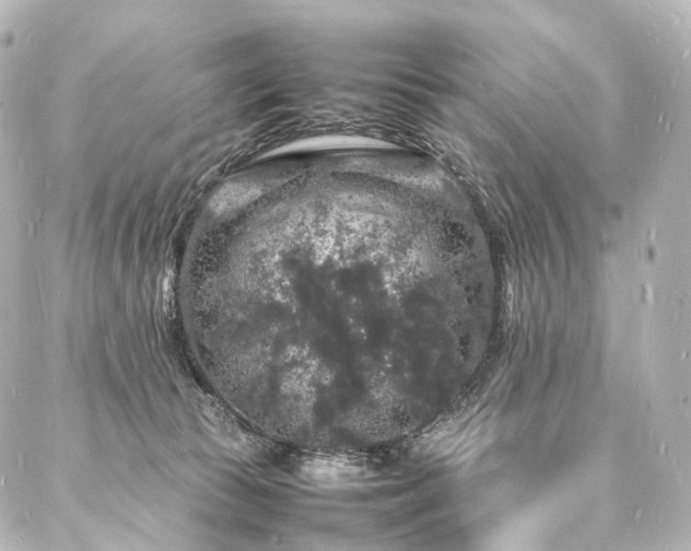 X0000088030177200705111205