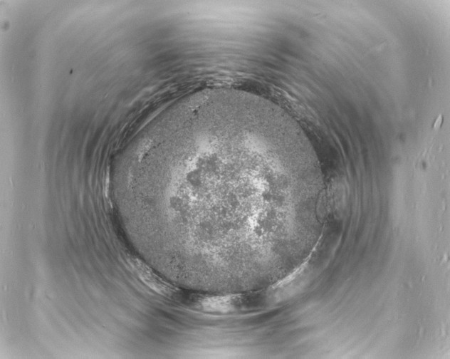 X0000088030178200705111205